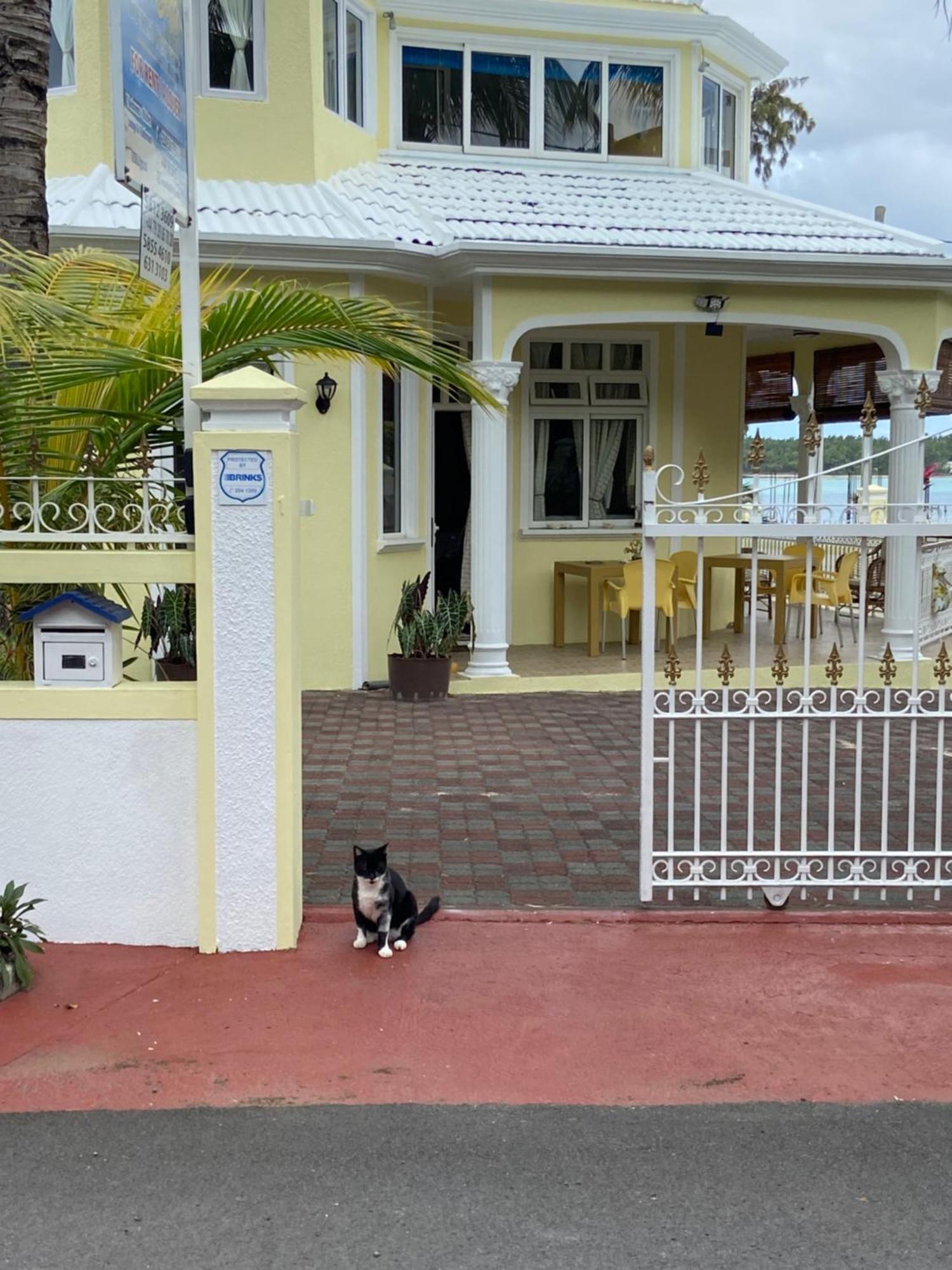 Villa Bella Charming Beachfront Guesthouse Блу-Бей Екстер'єр фото